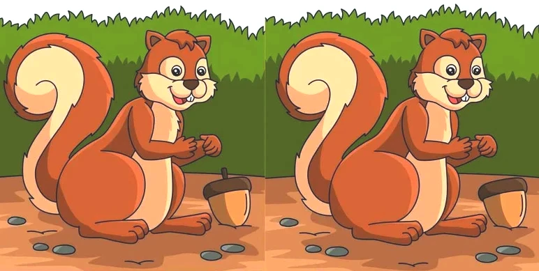 sincap-farklar-y4hc.webp