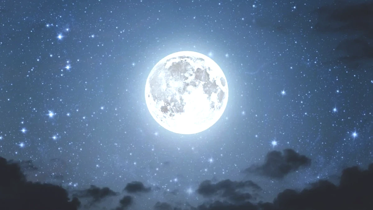 resim-2025-07-15-154632320.png
